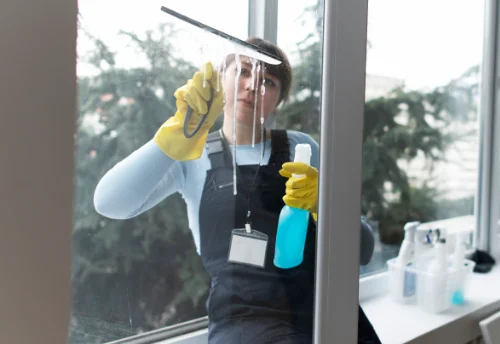 Nettoyage de vitres intérieures et extérieures à Massay